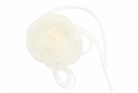 Pico Copenhagen - Organza rose string ivory